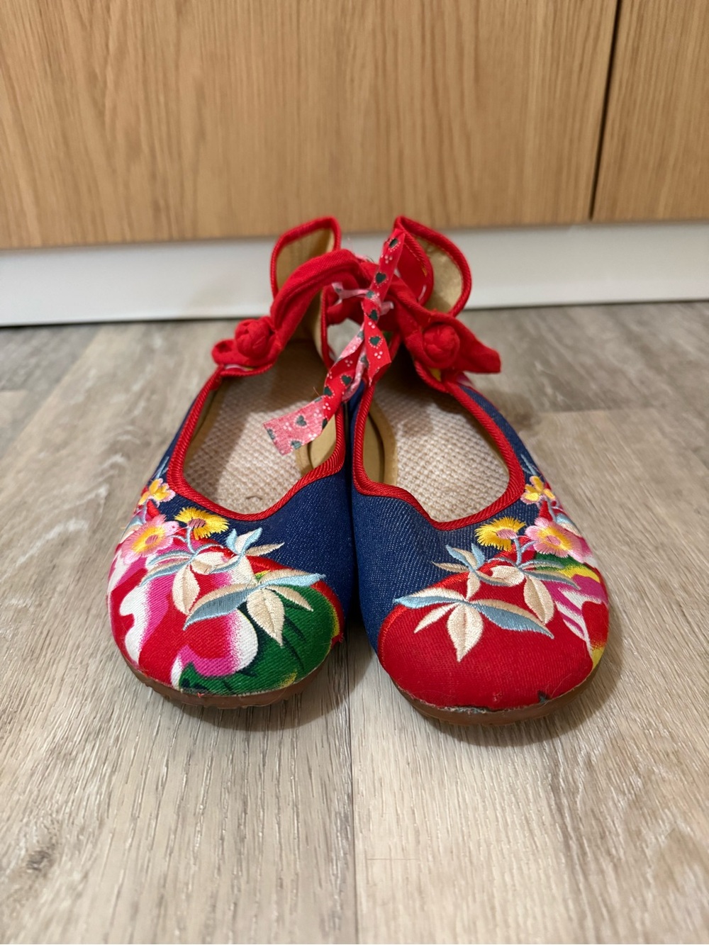 Embroidered Mary Jane Shoes in Red & Navy